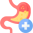 Digestive icons created by Freepik - Flaticon.