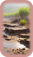 Mud