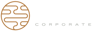SNEW logo