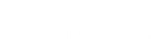 Sora Infotech logo