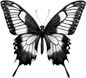 Galerie Butterfly logo