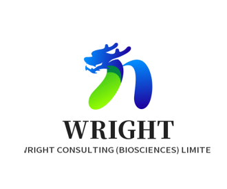 wrightconsulting.shop logo