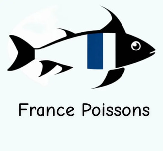 Les Merveilles de l'océan logo