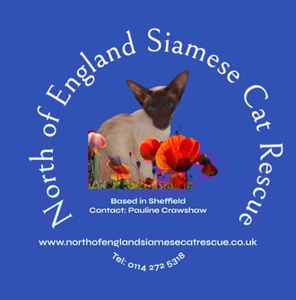 North of England Siamese Cat Rescue banner