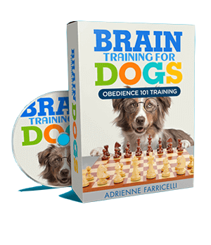 a dog sitting on a chess board with a dvd