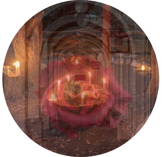the rose temple constellation for chirons wounds