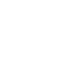 Intelligent System logo