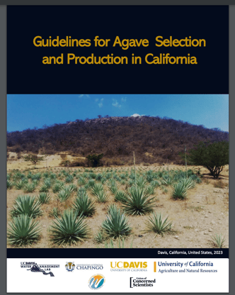 English GuidelAgaveSelectionProduction-California