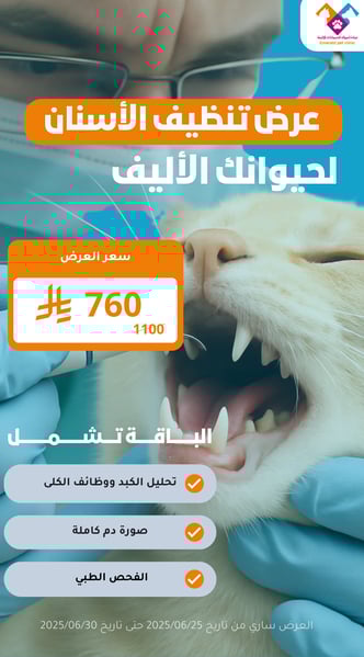 عرض تنظيف الأسنان الاحترافي لصحة فم أليفك