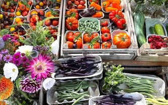 a variety of vegetables and fruits and flowers from Chiswick House Kitchen Garden