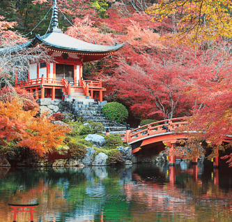 a pagoda in the middle of a pond with a bridge