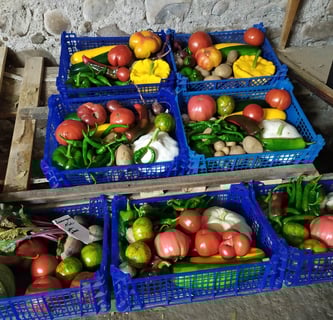 Paniers de légumes bio