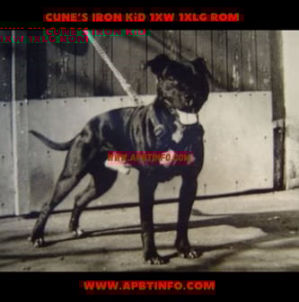 Cune’s Iron Kid 1xw 1xlg ROM