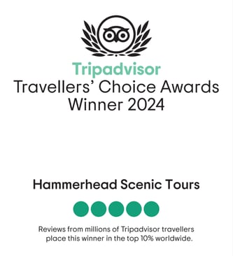 2024 TripAdvisor-Travellers'Choice Award Winner 2024
