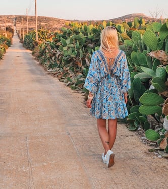 malta view with cactus