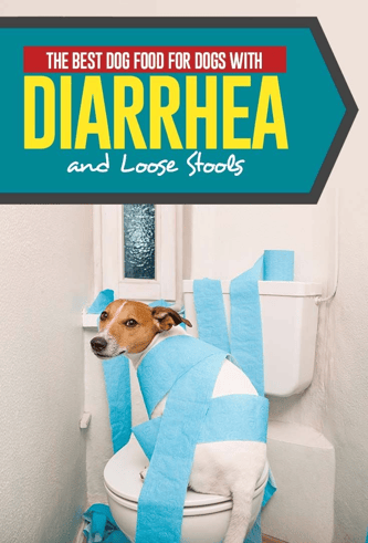 Dog food for Diarrhea