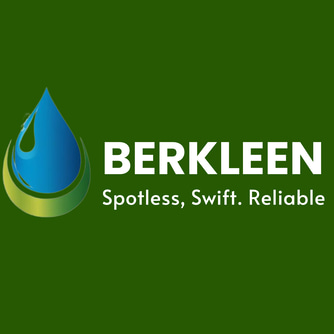 Sneaksclean logo