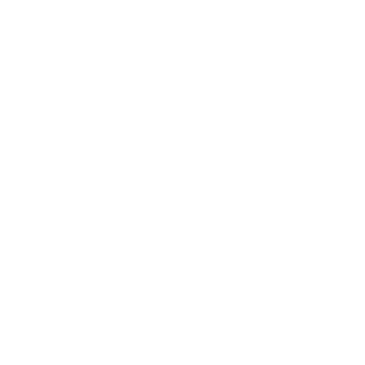 DASHER logo