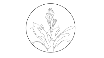 Flaming Sword Records logo