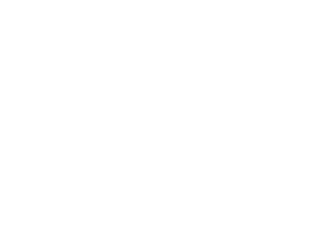 Auto Mecânica Carissimi logo