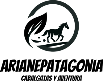 Arianepatagonia logo