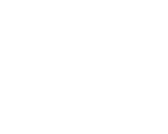 FGI investimento logo