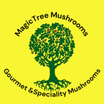 MagicTree Mushrooms logo