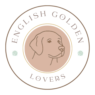 English Golden Lovers logo