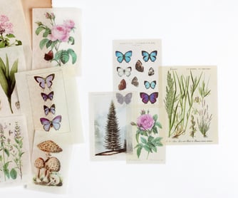 View all paper goods and stationery from Wintertime Crafts