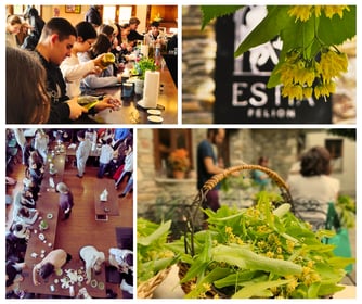Herbal workshops @ Estia Pelion