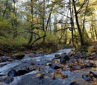 Columbia River Gorge, Oregon - Bridal Veil creek and Bridal Veil falls