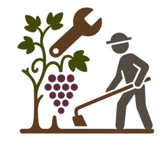 Manteniment ecològic i professional de vinyes a Mallorca | ViñArts Mallorca