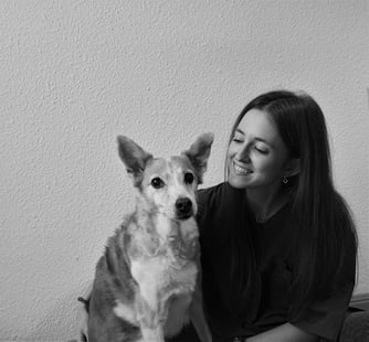 equipo veterinario minima invasion