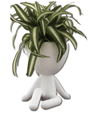 Pot de fleur mignon - assis