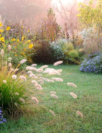 a garden with a lawn and flowers Tuinontwerpen met bloemen en vaste planten