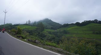 misty mountains in Munnar road side