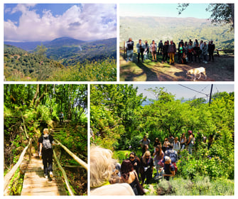 Herbal wellness explorations at Pelion landscapes and villages through guided herbal walks