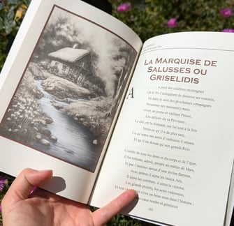 Livres en auto-éditions, textes d'origine et illustration par la Plume Rêveuse