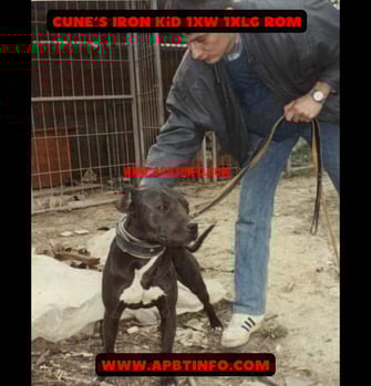 Cune’s Iron Kid 1xw 1xlg ROM
