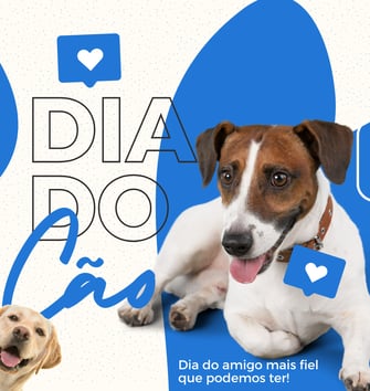 Post de instagram animais