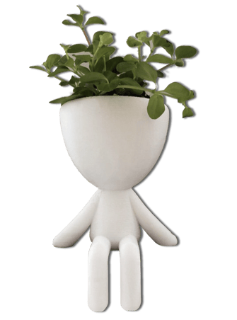 Pot de fleurs mignon - assis en rebord