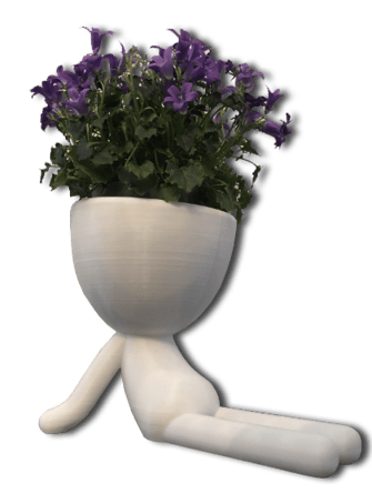 Pots de fleurs original