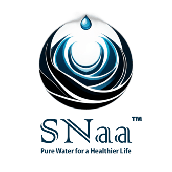 SNaa logo