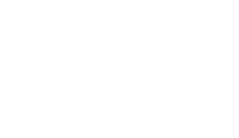 Dallas Digital Services logo