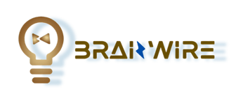 BrainWire logo