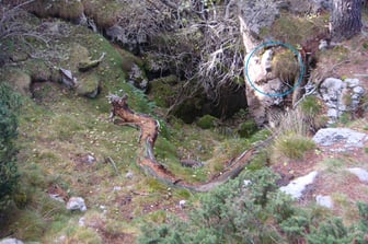 Cavall del comte Arnau