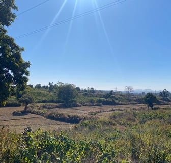 a field with a sun shining on the ground