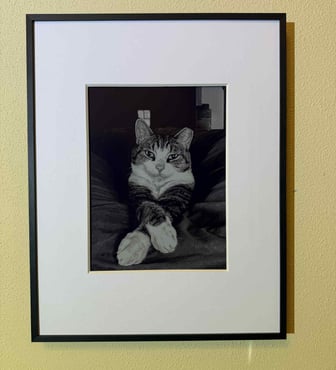 High-def blakc and white photo on Aluratek digital frame