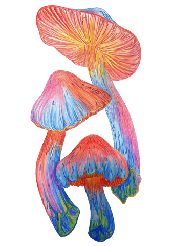 "Abstract Mushrooms" by Sezer Ali
