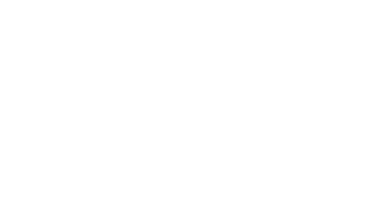 LOGO MESTIZO
